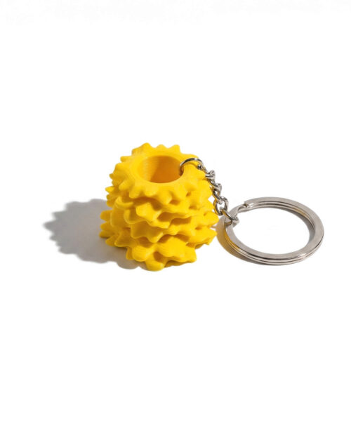 Raktų pakabukas šakotis